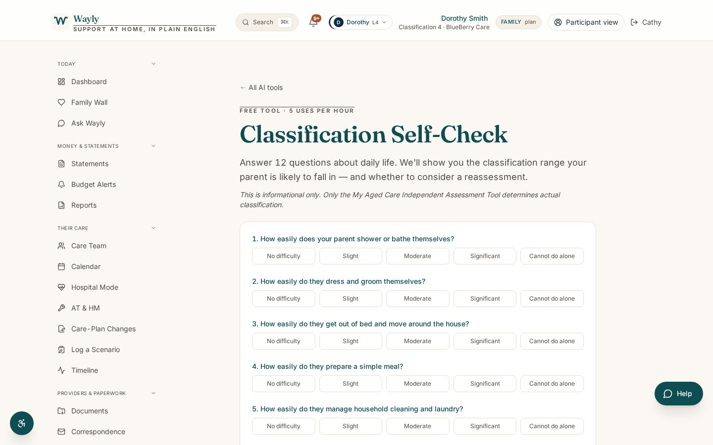 Classification Self-Check screenshot showing the actual tool result